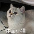 一小时 1500 元！现在的游戏陪玩这么挣钱吗？(图10)