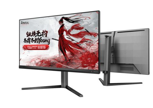 飞利浦EVNIA亮相BOEIPC电竞嘉年华以创新显示技术重塑电竞视觉体验(图5)