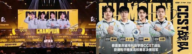 2025和平精英全明星电竞周圆满收官：多元生态共铸刺激盛宴(图2)