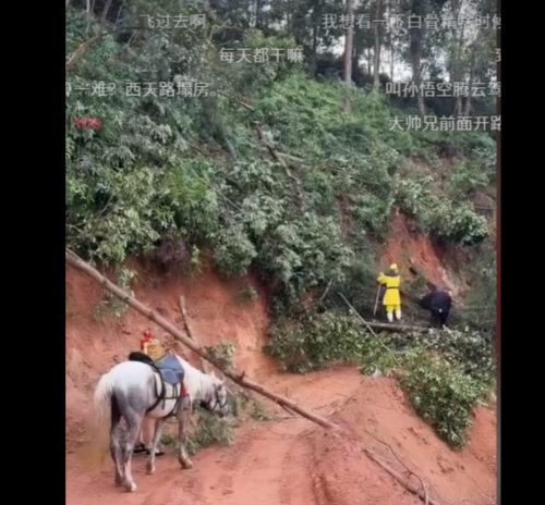 直播西天取经爆火最复古的形式最先进的基建(图6)