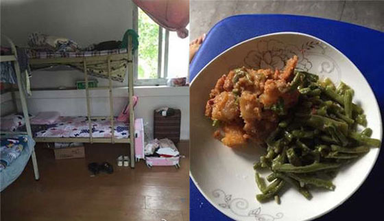 陪睡 群P 堕胎充斥女子电竞圈(图12)