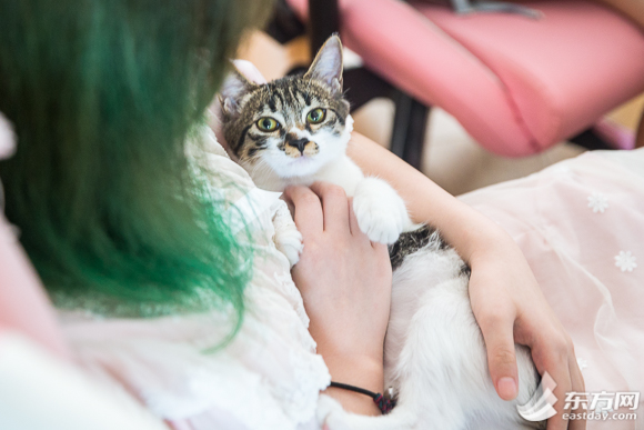 走近这些小姐姐粉色世界的电竞梦是真实还是残酷？(图4)